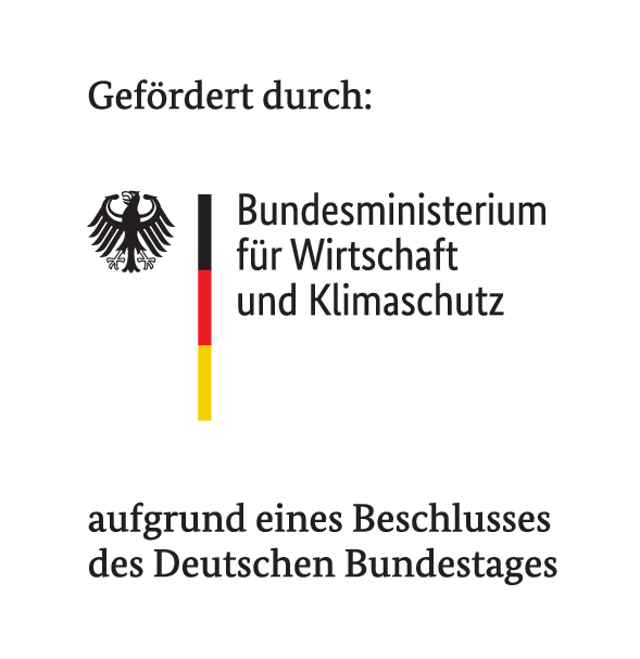 BMWK_Fz_2021_DTP_CMYK_de_250